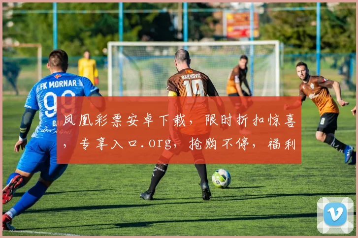 凤凰彩票安卓下载，限时折扣惊喜，专享入口.org，抢购不停，福利满满