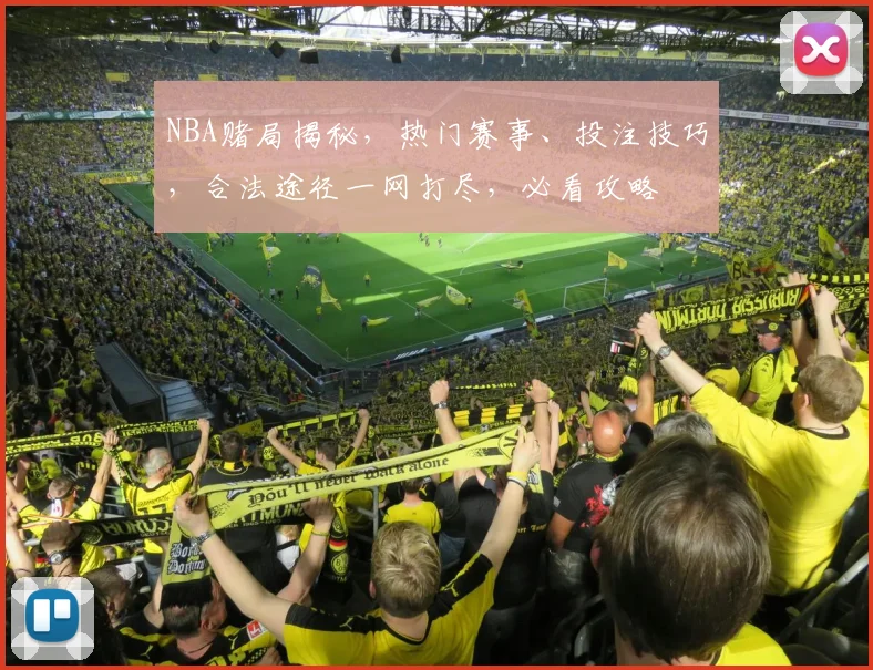 NBA赌局揭秘，热门赛事、投注技巧，合法途径一网打尽，必看攻略
