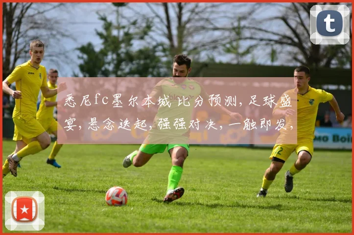 悉尼fc墨尔本城 比分预测,足球盛宴,悬念迭起,强强对决,一触即发,谁将问鼎