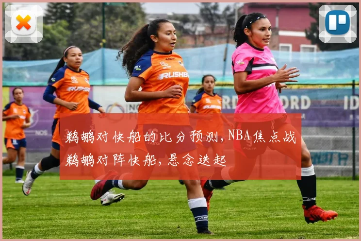 鹈鹕对快船的比分预测,NBA焦点战鹈鹕对阵快船,悬念迭起